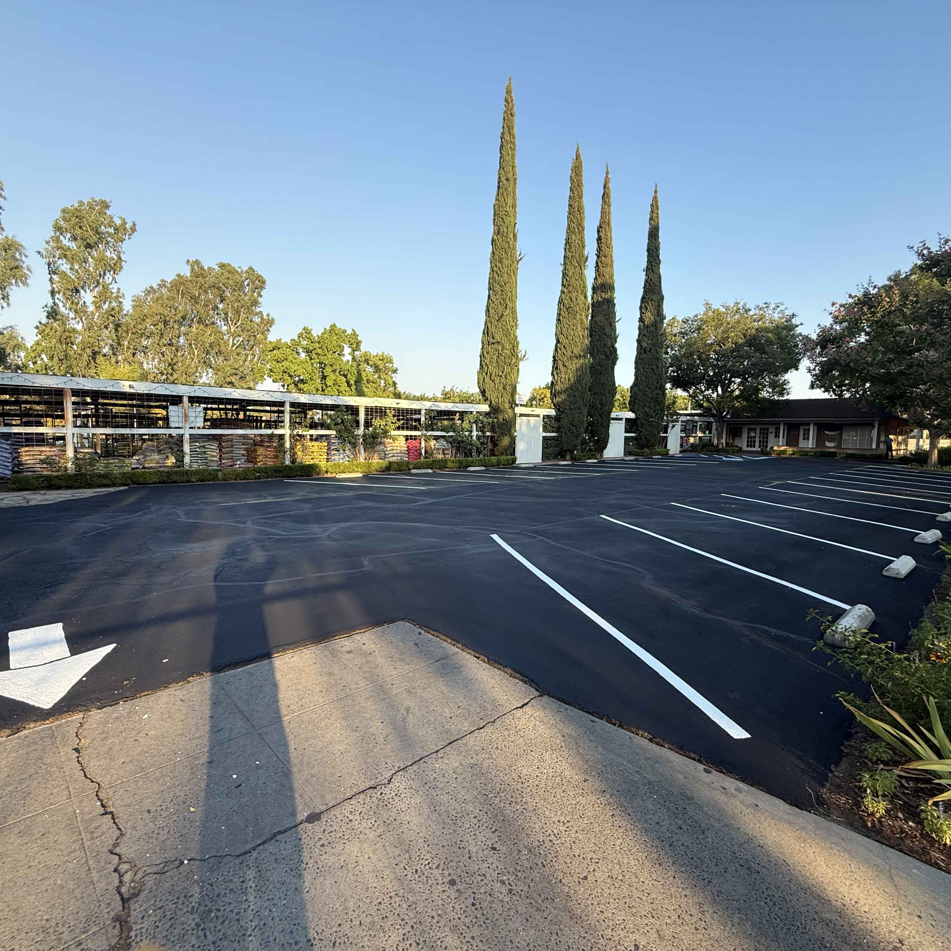 Seal Coating project 3